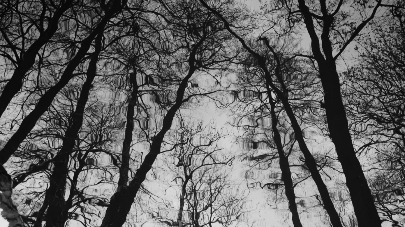 Inspired by: A24's New Horror